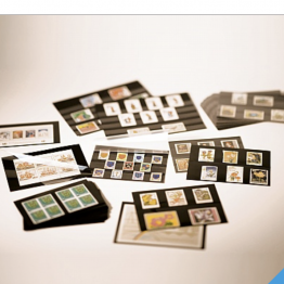 Schermata 2022-03-03 alle 11.50.04