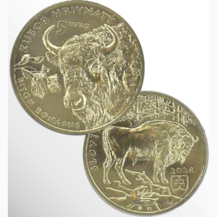 5 EURO SLOVACCHIA 2024 BISONTE